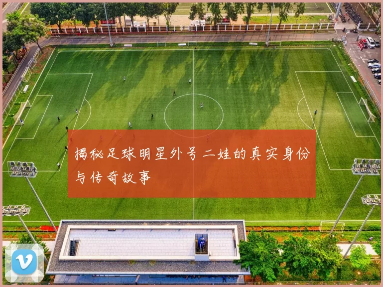 揭秘足球明星外号二娃的真实身份与传奇故事