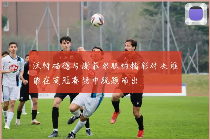 沃特福德与谢菲尔联的精彩对决谁能在英冠赛场中脱颖而出