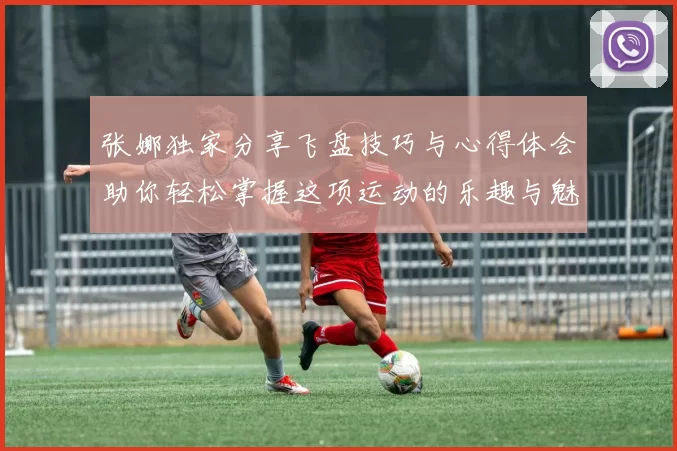 张娜独家分享飞盘技巧与心得体会助你轻松掌握这项运动的乐趣与魅力