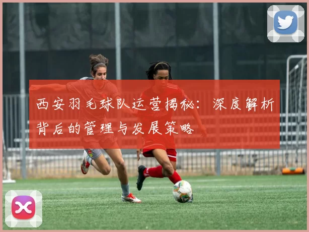 西安羽毛球队运营揭秘：深度解析背后的管理与发展策略