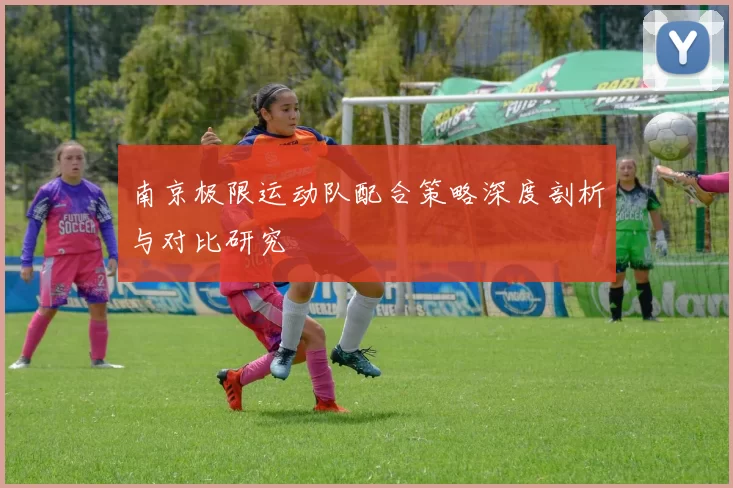 南京极限运动队配合策略深度剖析与对比研究