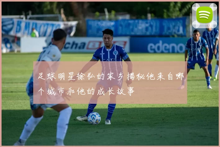 足球明星徐弘的家乡揭秘他来自哪个城市和他的成长故事