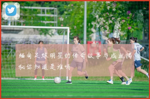 缅甸足球明星的传奇故事与成就揭秘你知道是谁吗