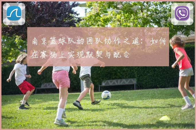 南京篮球队的团队协作之道：如何在赛场上实现默契与配合