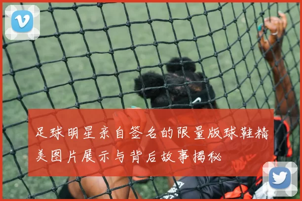 足球明星亲自签名的限量版球鞋精美图片展示与背后故事揭秘