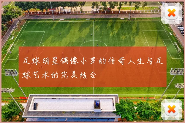 足球明星偶像小罗的传奇人生与足球艺术的完美结合