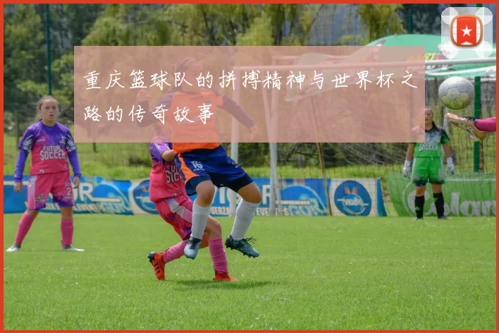 重庆篮球队的拼搏精神与世界杯之路的传奇故事