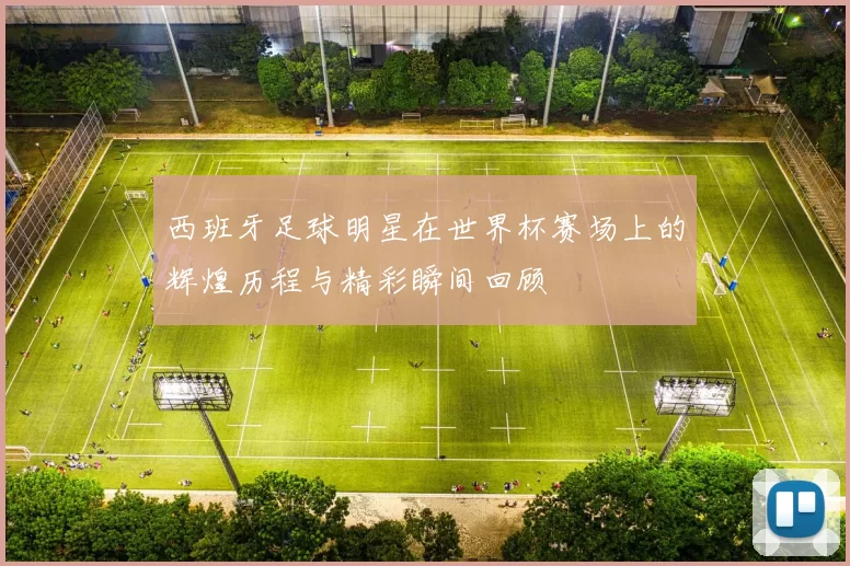 西班牙足球明星在世界杯赛场上的辉煌历程与精彩瞬间回顾