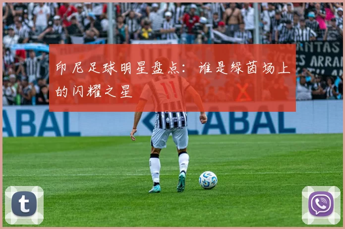 印尼足球明星盘点：谁是绿茵场上的闪耀之星