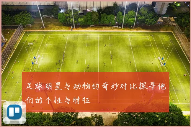 足球明星与动物的奇妙对比探寻他们的个性与特征