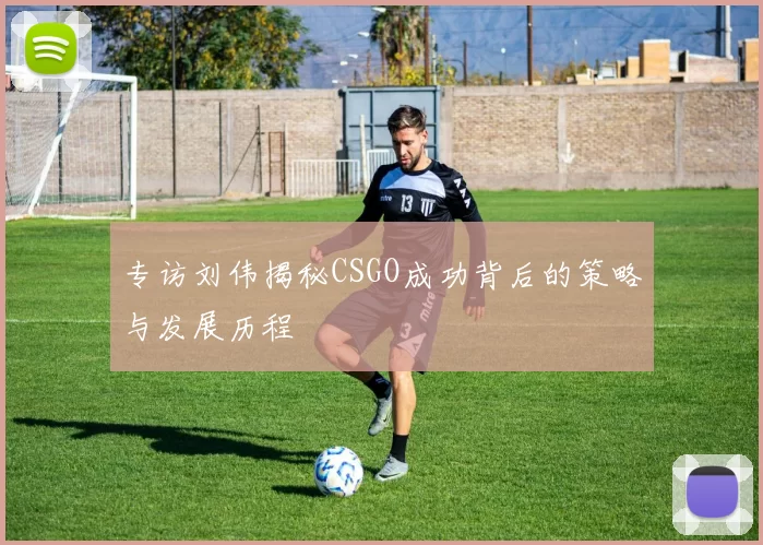 专访刘伟揭秘CSGO成功背后的策略与发展历程