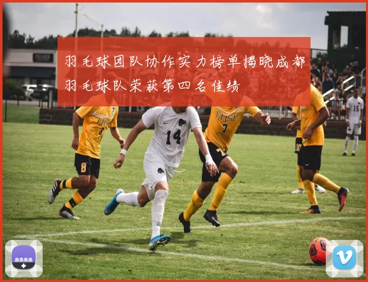 羽毛球团队协作实力榜单揭晓成都羽毛球队荣获第四名佳绩