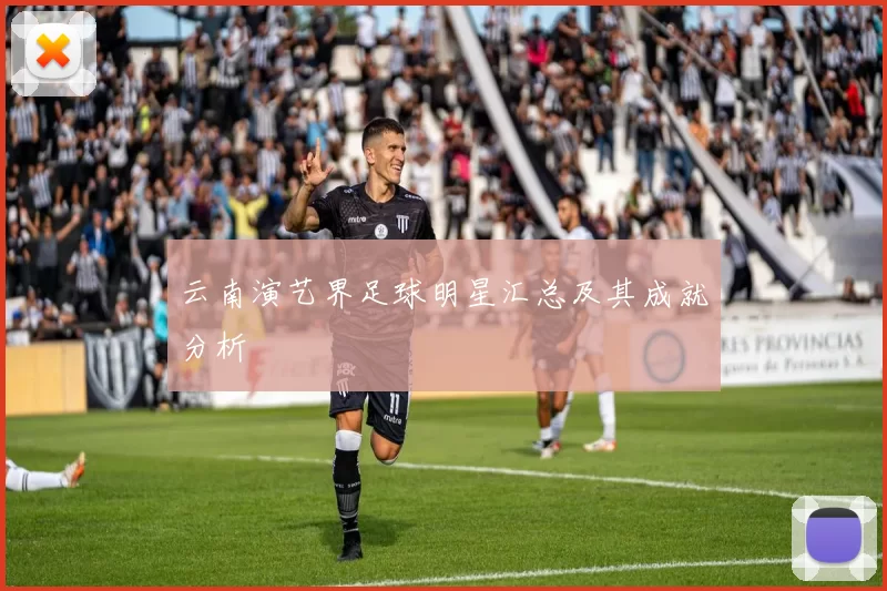 云南演艺界足球明星汇总及其成就分析