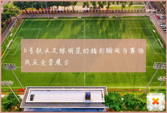 6号秋衣足球明星的精彩瞬间与赛场风采全景展示